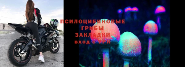 ГАЛЛЮЦИНОГЕННЫЕ ГРИБЫ Алексеевка