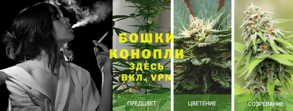 ГАЛЛЮЦИНОГЕННЫЕ ГРИБЫ Алексеевка