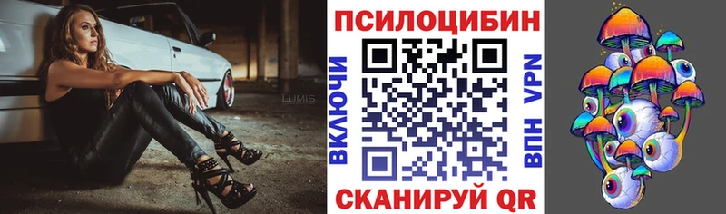 Галлюциногенные грибы мухоморы  купить наркотики цена  Томск 